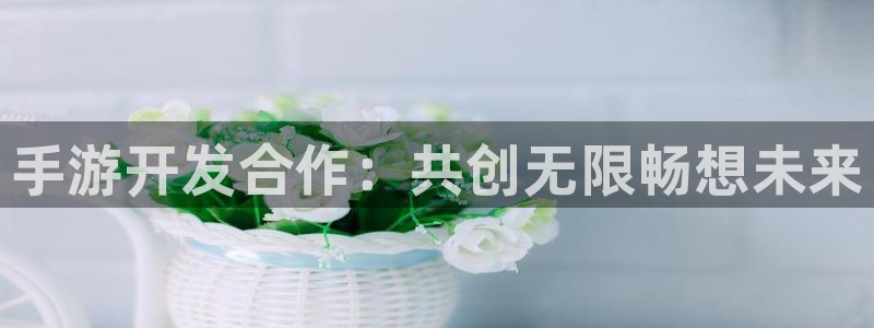 pc28大神苹果下载