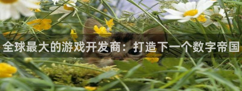 pg国际pc蛋蛋在线预测