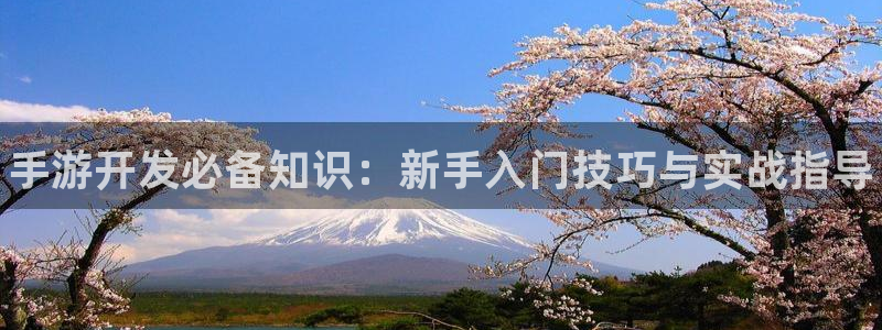 28大神怎么下载不了