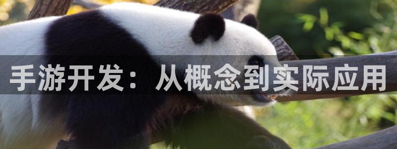 pg国际论坛预测