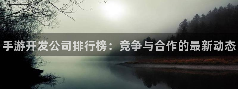 28大神官方开奖：手游开发公司排行榜：竞争与合作的最新动态