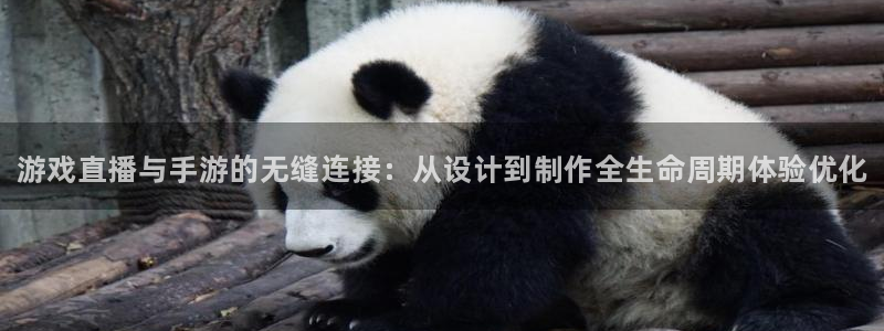 pg国际app苹果版：游戏直播与手游的无缝连接：从设计到制作