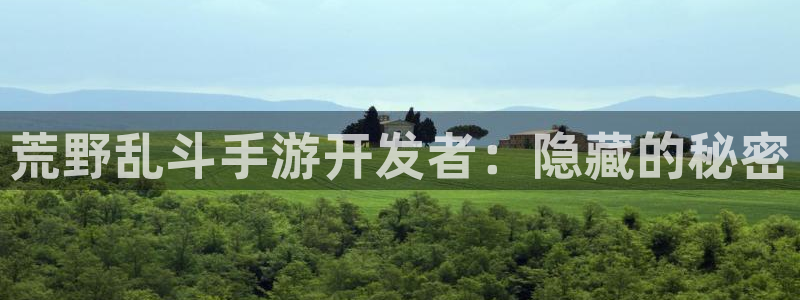 pc28大神苹果下载：荒野乱斗手游开发者：隐藏的秘密