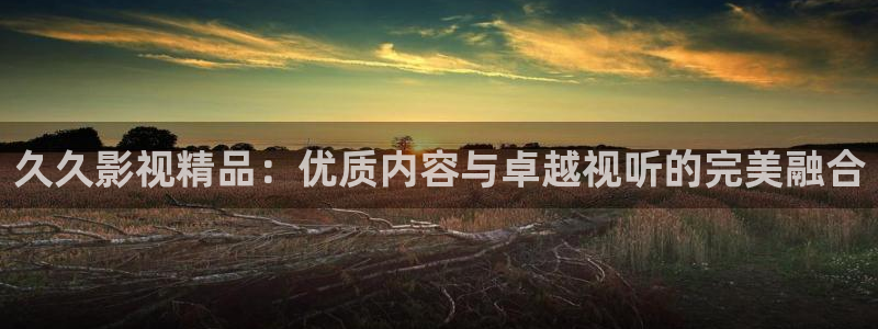 欧美不卡免费在线视频：久久影视精品：优质内容与卓越视听的完美融合
